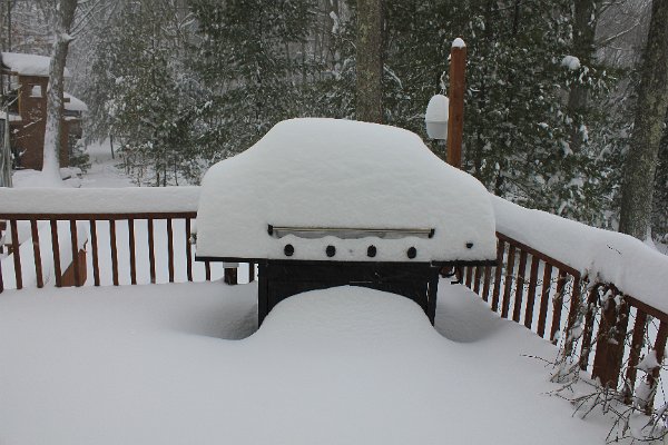 New Camera Dec2010 364